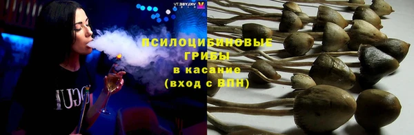 герыч Мегион