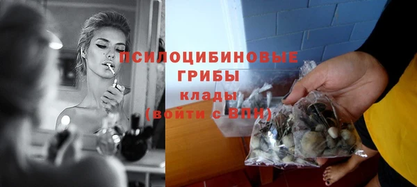PSILOCYBIN Медвежьегорск