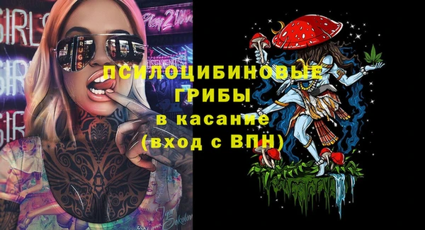 PSILOCYBIN Медвежьегорск