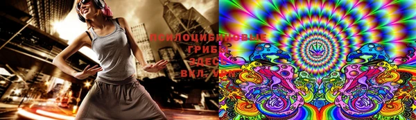герыч Мегион