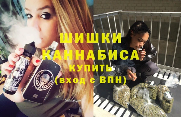 PSILOCYBIN Медвежьегорск