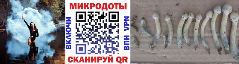 Галлюциногенные грибы Psilocybine cubensis  Электроугли 